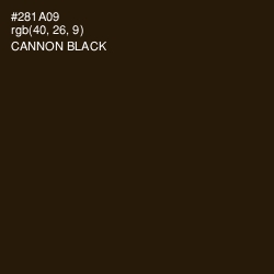 #281A09 - Cannon Black Color Image